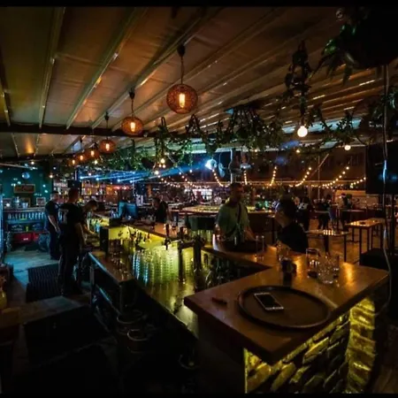 International Palace 4* Veles